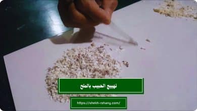 تهييج الحبيب بالملح