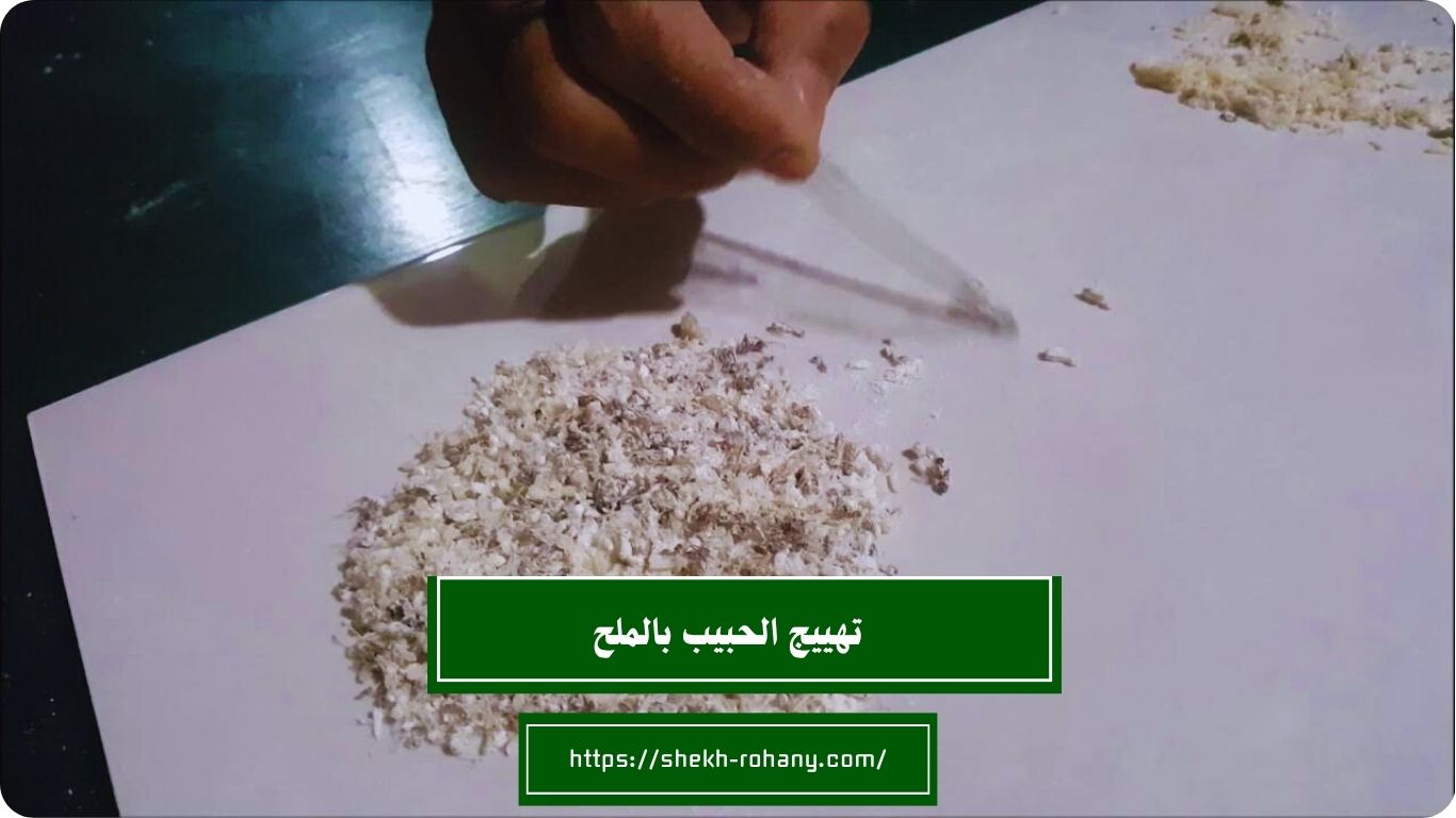 تهييج الحبيب بالملح