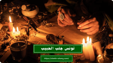 تونس جلب الحبيب