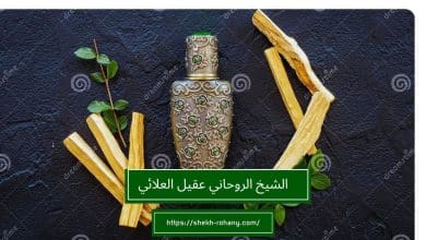 الشيخ الروحاني عقيل العلائي