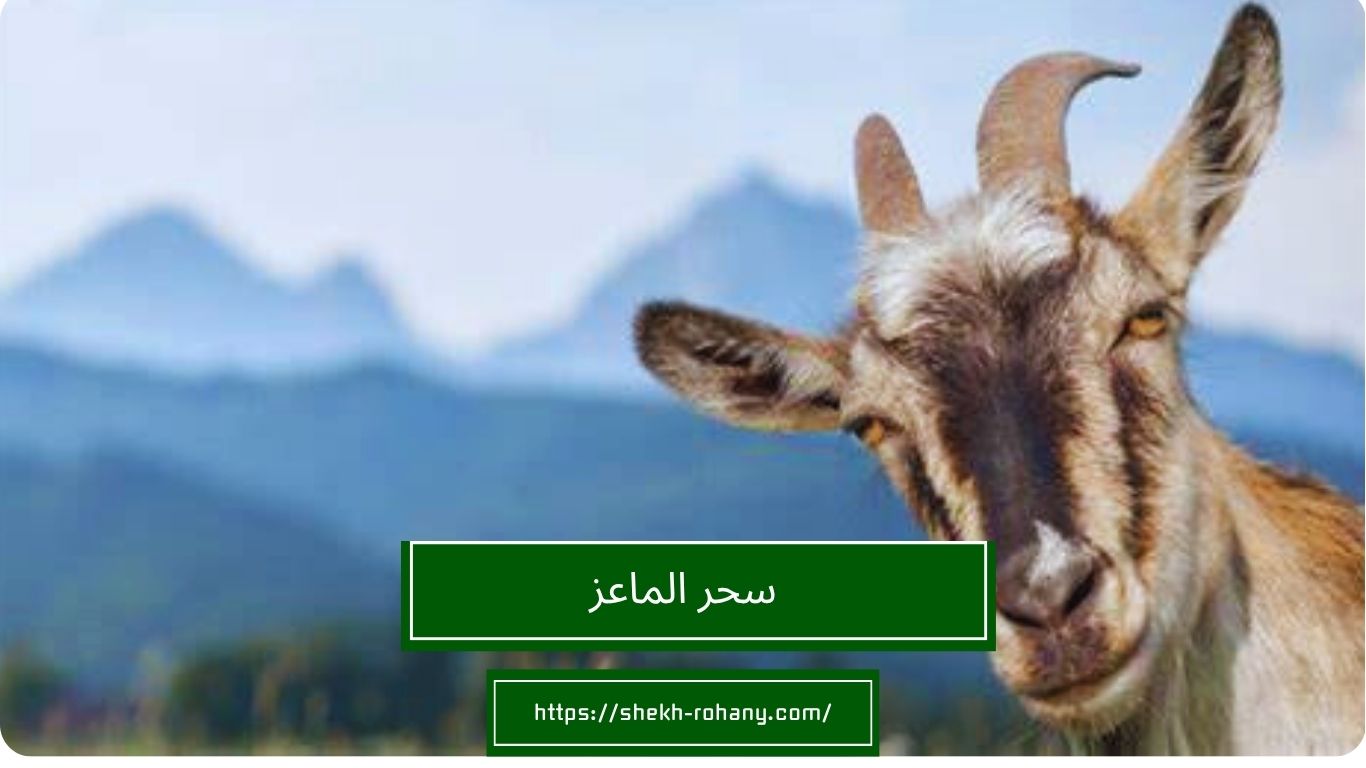 سحر الماعز