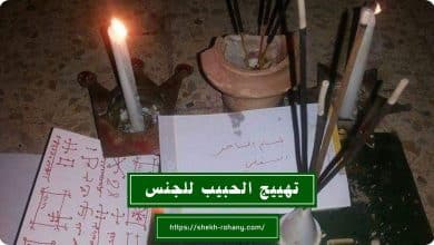 تهييج الحبيب للجنس