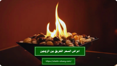 افضل شيخ روحاني