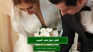 أفضل شيخ رد المطلقة