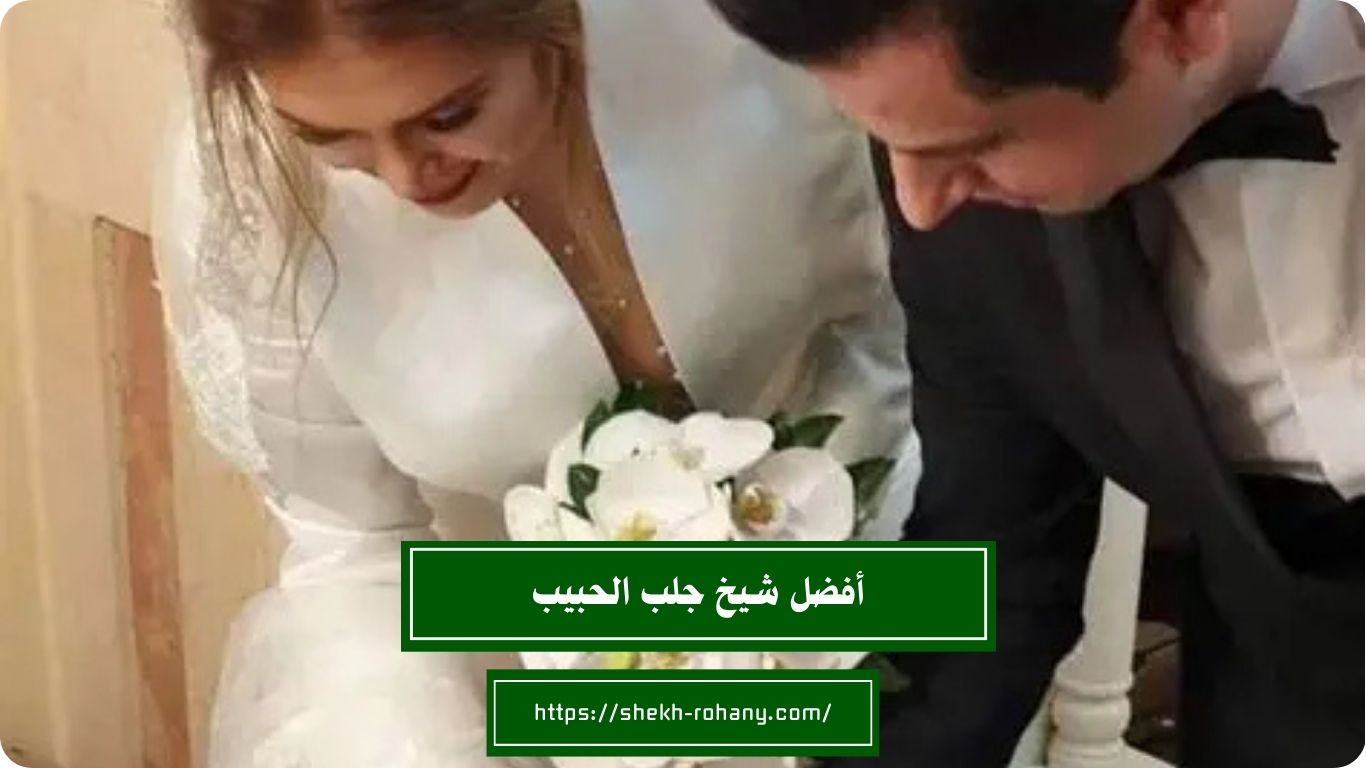 أفضل شيخ رد المطلقة