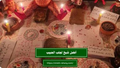 أفضل شيخ لجلب الحبيب