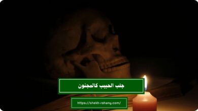 جلب الحبيب كالمجنون