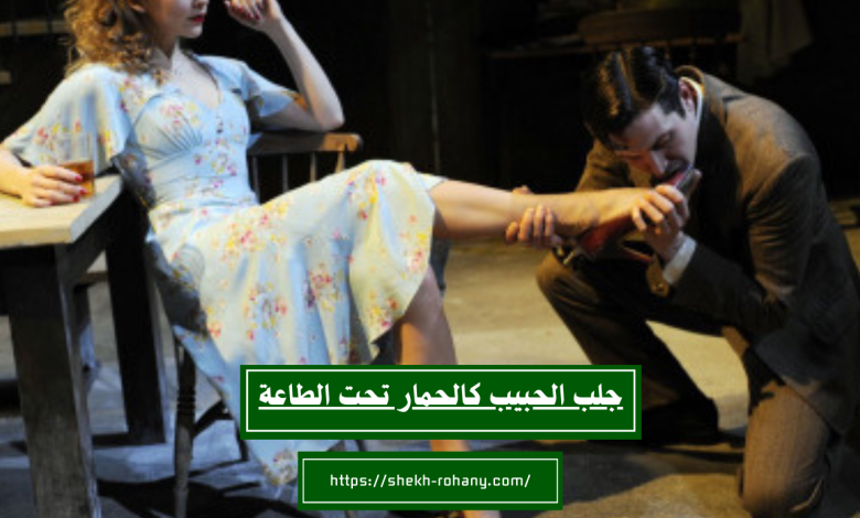 جلب الحبيب كالحمار تحت الطاعة