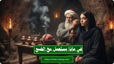 في ماذا يستعمل مخ الضبع